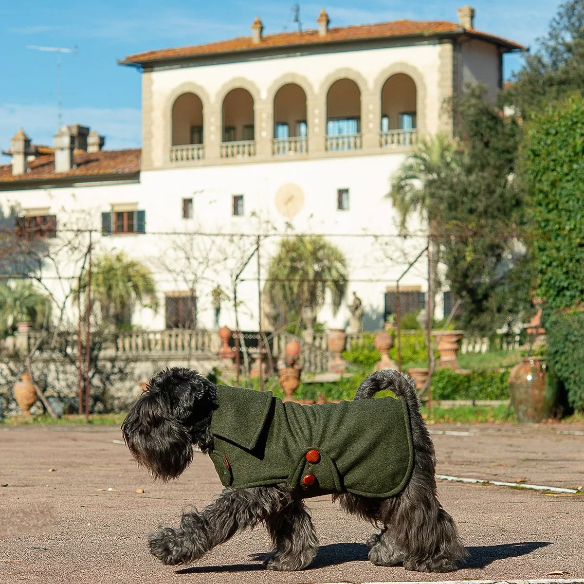 Bespoke Dog Coat/Raincoat Dandy Loden