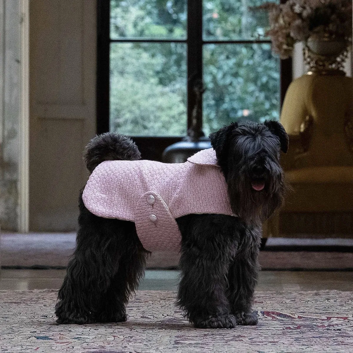 Bespoke Dog Coat/Raincoat Jacqueline