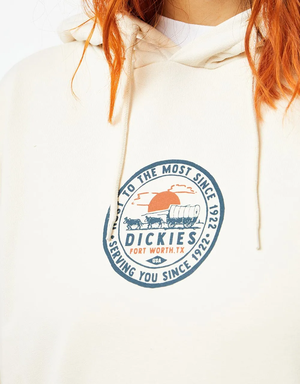 Dickies Greensburg Pullover Hoodie - Whitecap Gray