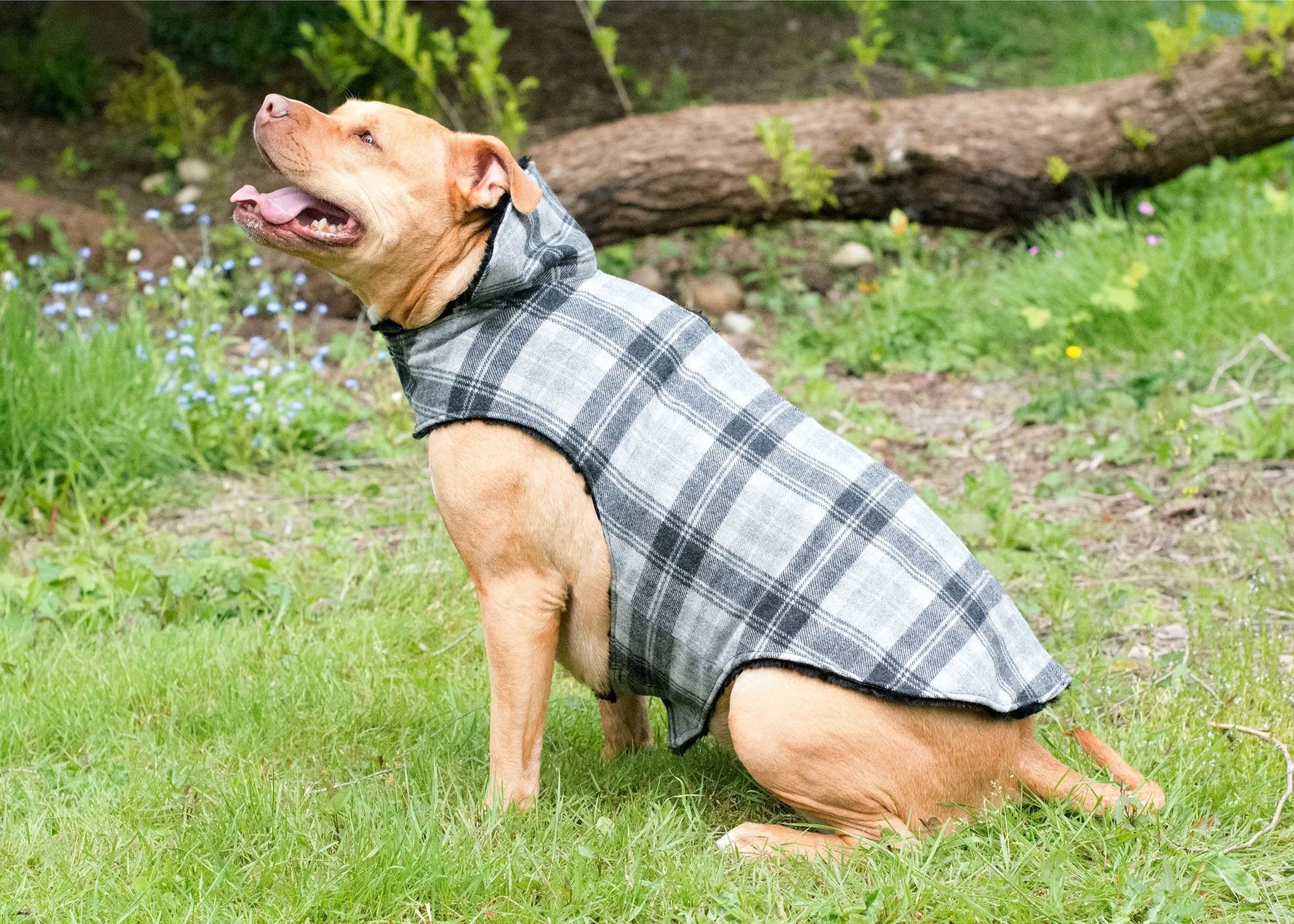 Dog Coat, Reversible - Wool Plaid with Cuddly Faux Fur (One XL Nightfall Left!)