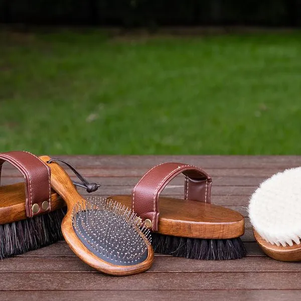 Hairy Pony Brush Kit